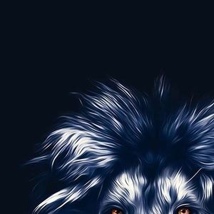 Meet your Posher, Jeffry